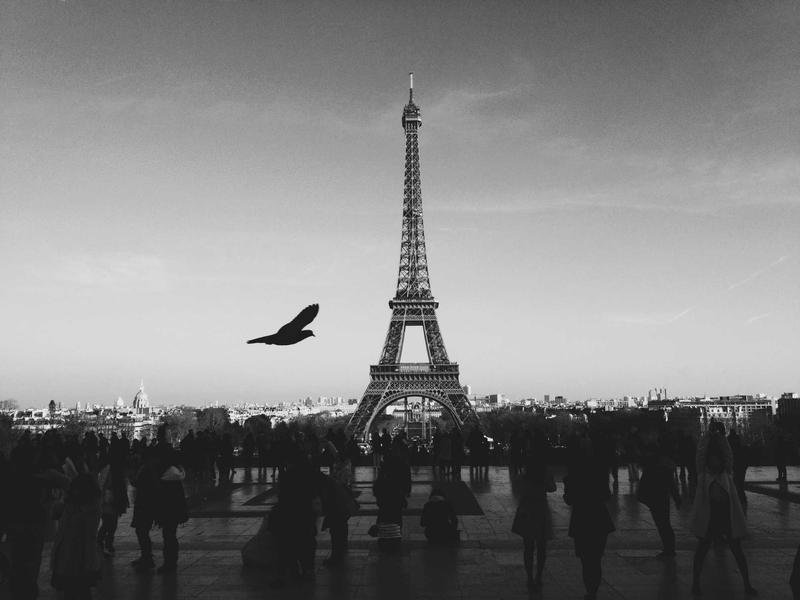Master Master